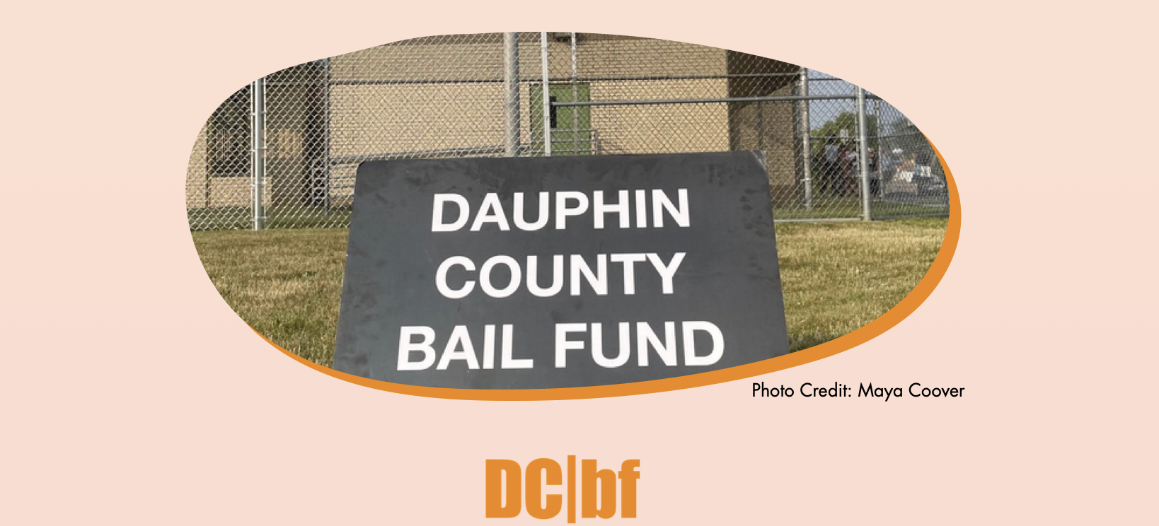 Read more about the article Bail Report 2023